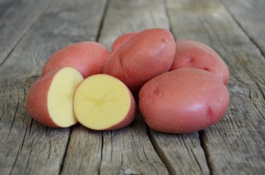 Картофель Розара  (ранний)Элита 2 кг.